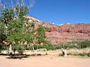 043_zion.jpg